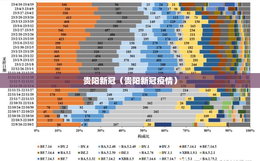 贵阳新冠（贵阳新冠疫情）
