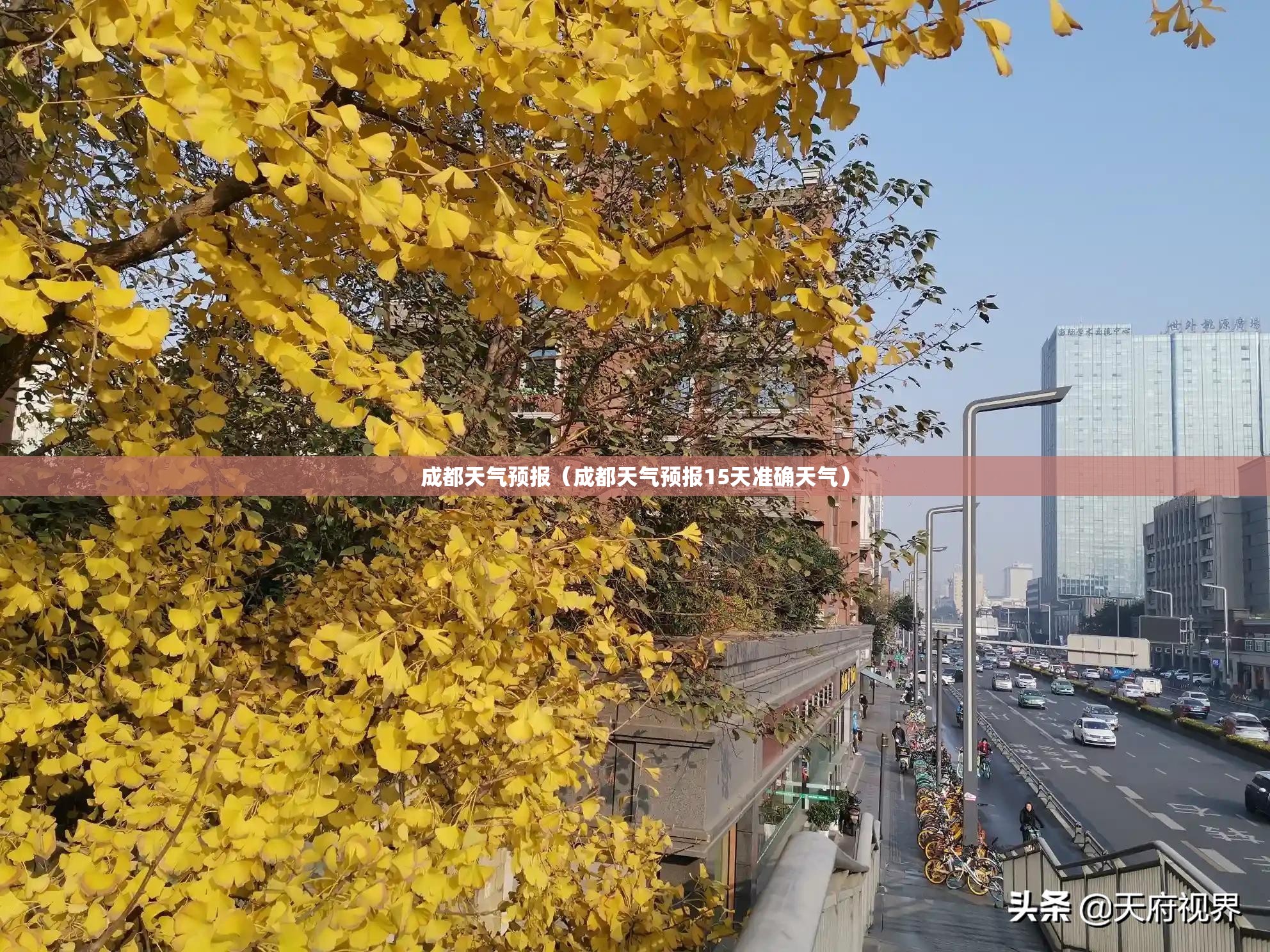成都天气预报（成都天气预报15天准确天气）