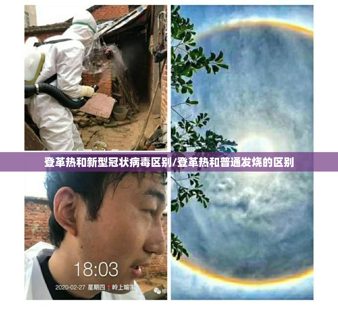 登革热和新型冠状病毒区别/登革热和普通发烧的区别