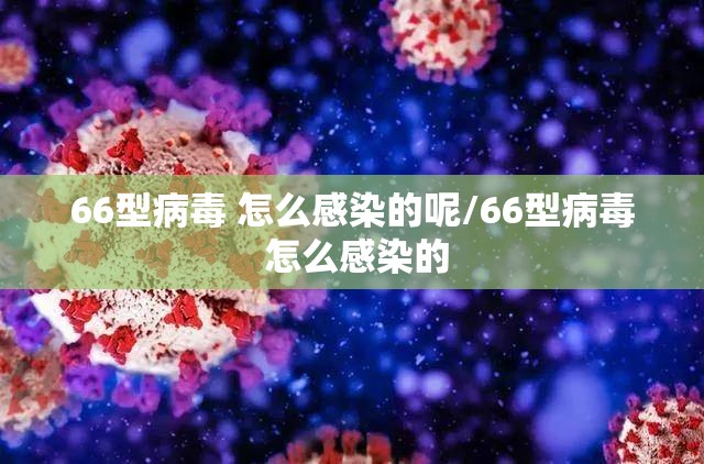 66型病毒 怎么感染的呢/66型病毒 怎么感染的
