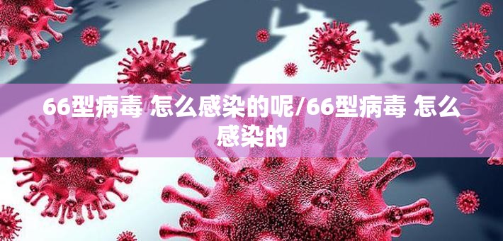 66型病毒 怎么感染的呢/66型病毒 怎么感染的