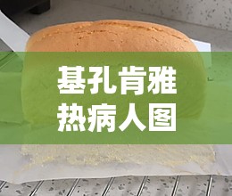 基孔肯雅热病人图片/基孔亚病毒