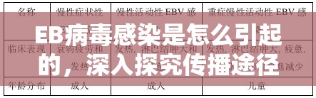 EB病毒感染是怎么引起的，深入探究传播途径与风险因素