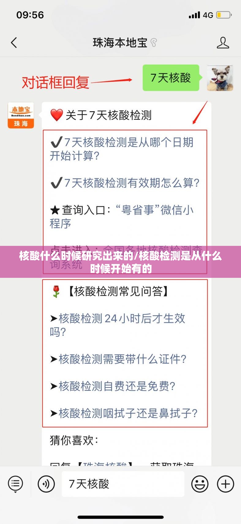核酸什么时候研究出来的/核酸检测是从什么时候开始有的
