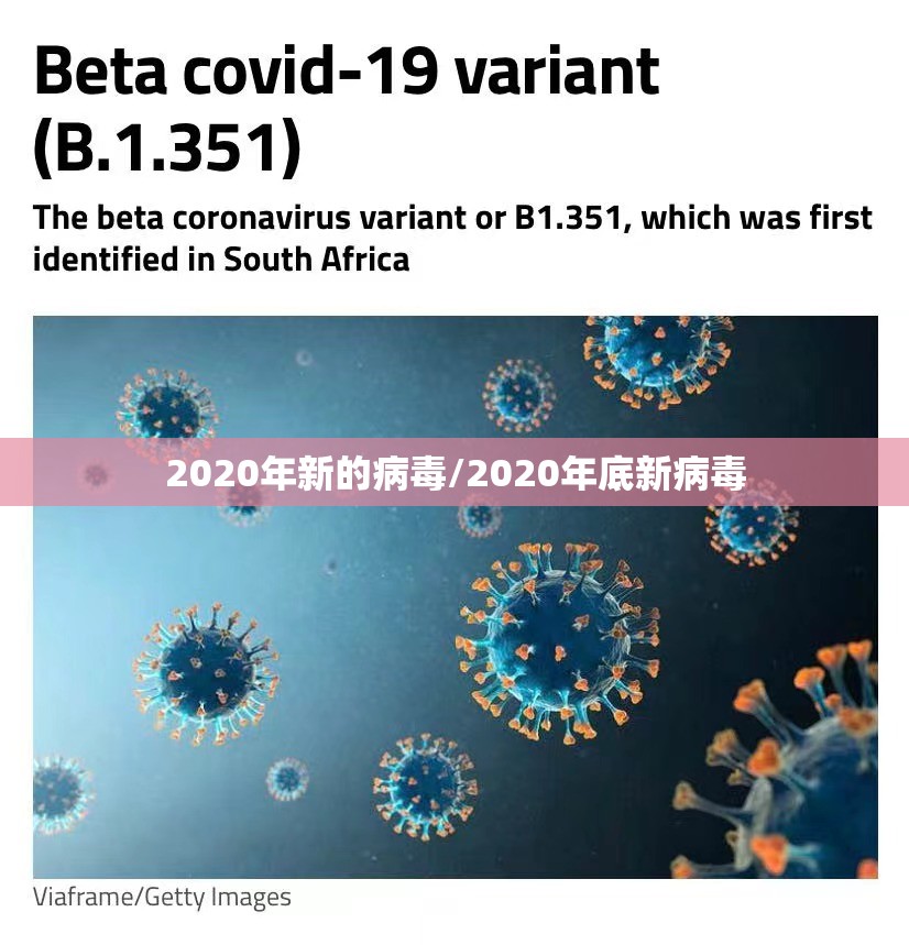 2020年新的病毒/2020年底新病毒