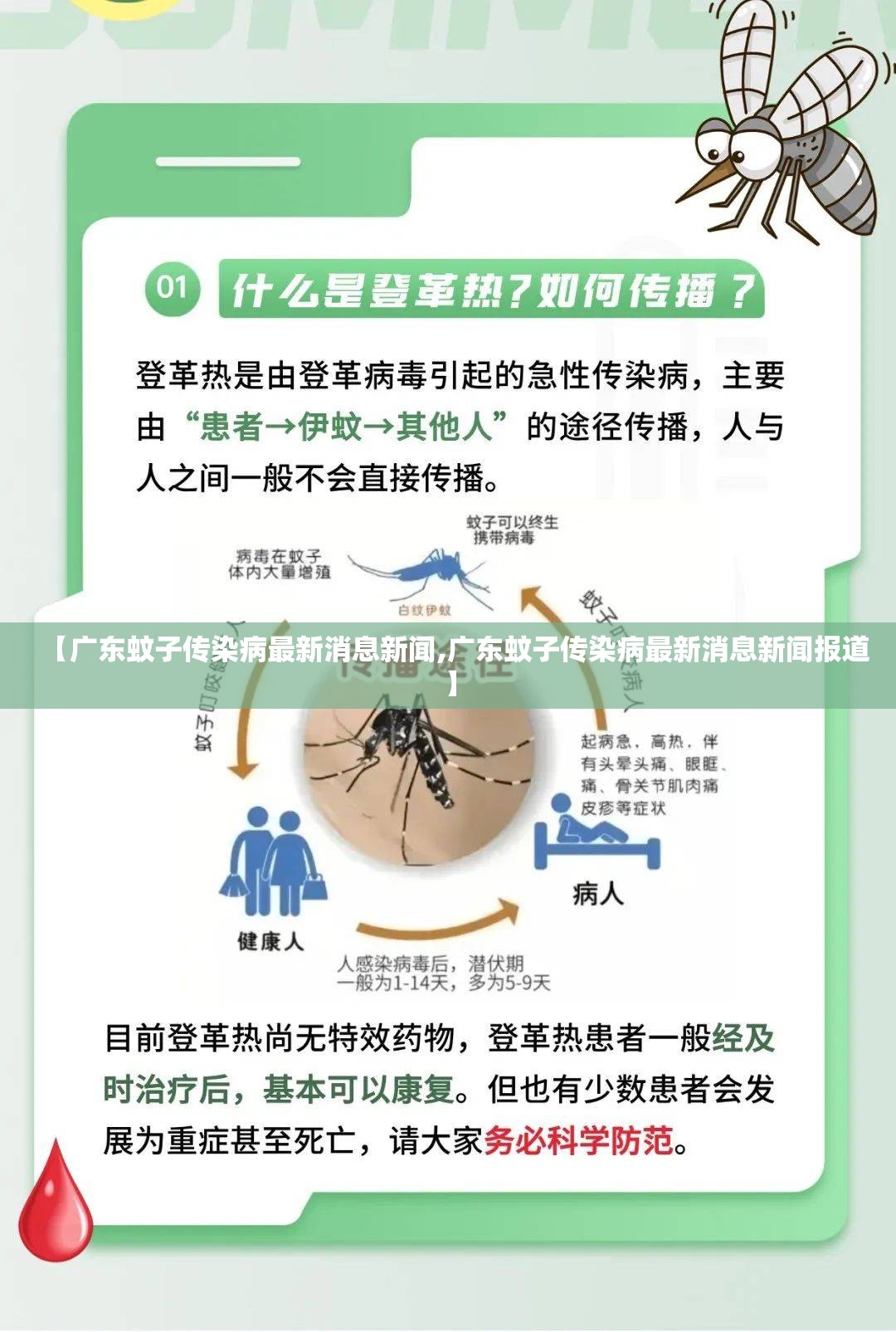 【广东蚊子传染病最新消息新闻,广东蚊子传染病最新消息新闻报道】