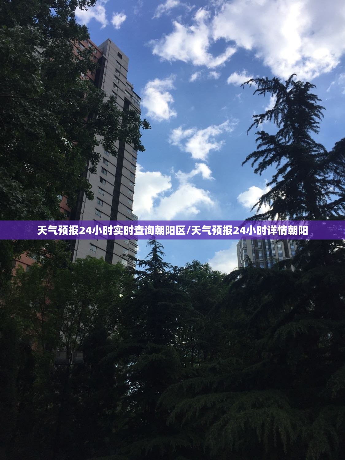 天气预报24小时实时查询朝阳区/天气预报24小时详情朝阳
