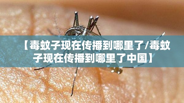 【毒蚊子现在传播到哪里了/毒蚊子现在传播到哪里了中国】
