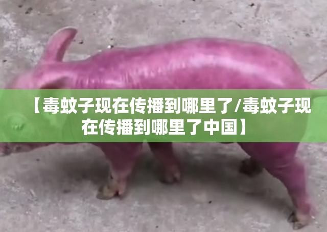 【毒蚊子现在传播到哪里了/毒蚊子现在传播到哪里了中国】