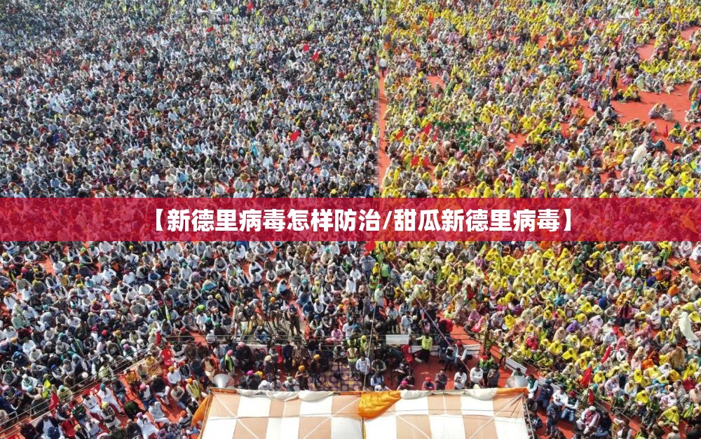 【新德里病毒怎样防治/甜瓜新德里病毒】