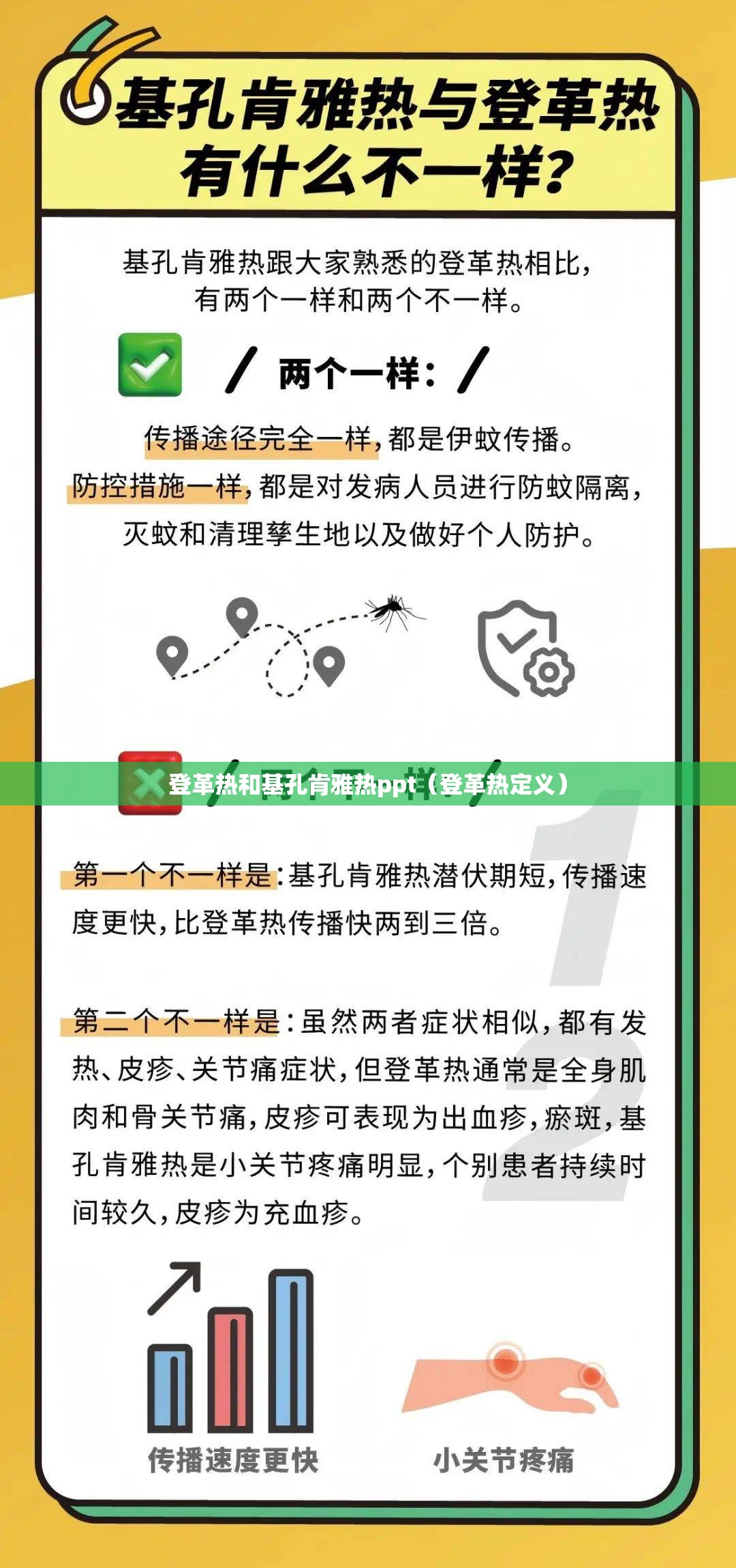 登革热和基孔肯雅热ppt（登革热定义）