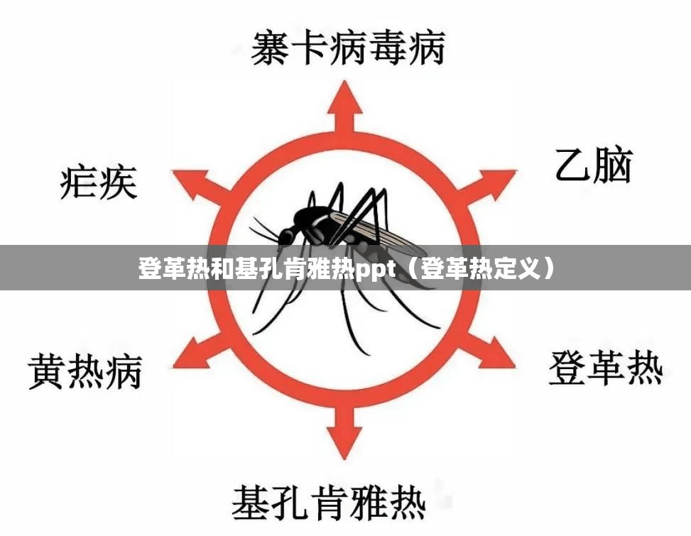 登革热和基孔肯雅热ppt（登革热定义）