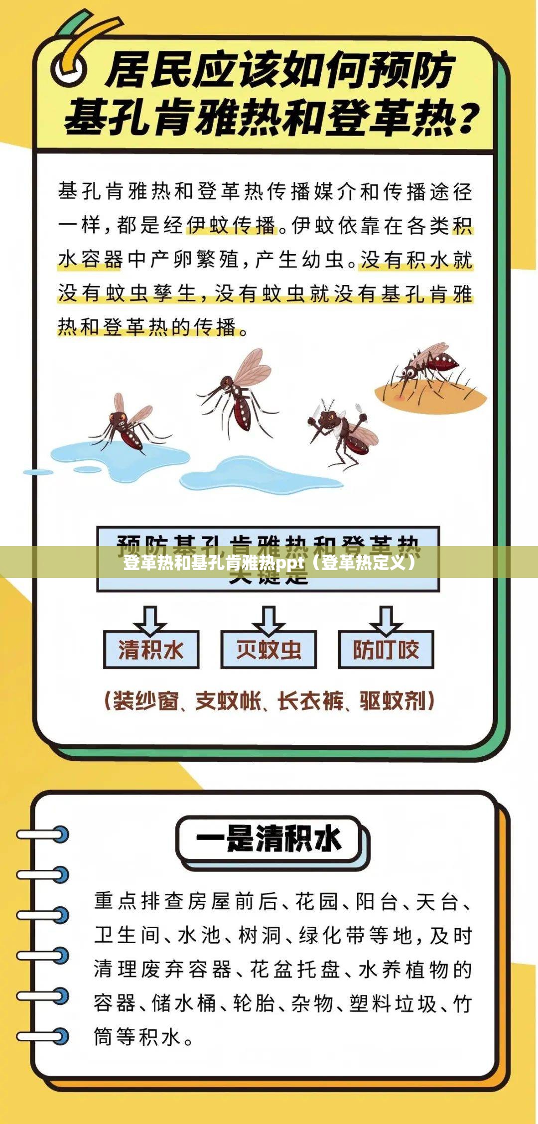 登革热和基孔肯雅热ppt（登革热定义）