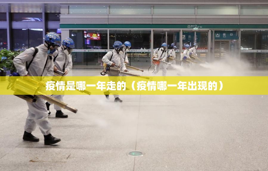 疫情是哪一年走的（疫情哪一年出现的）