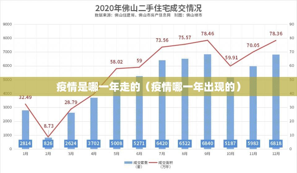 疫情是哪一年走的（疫情哪一年出现的）