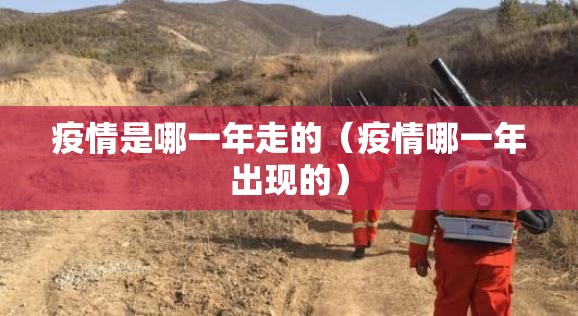 疫情是哪一年走的（疫情哪一年出现的）