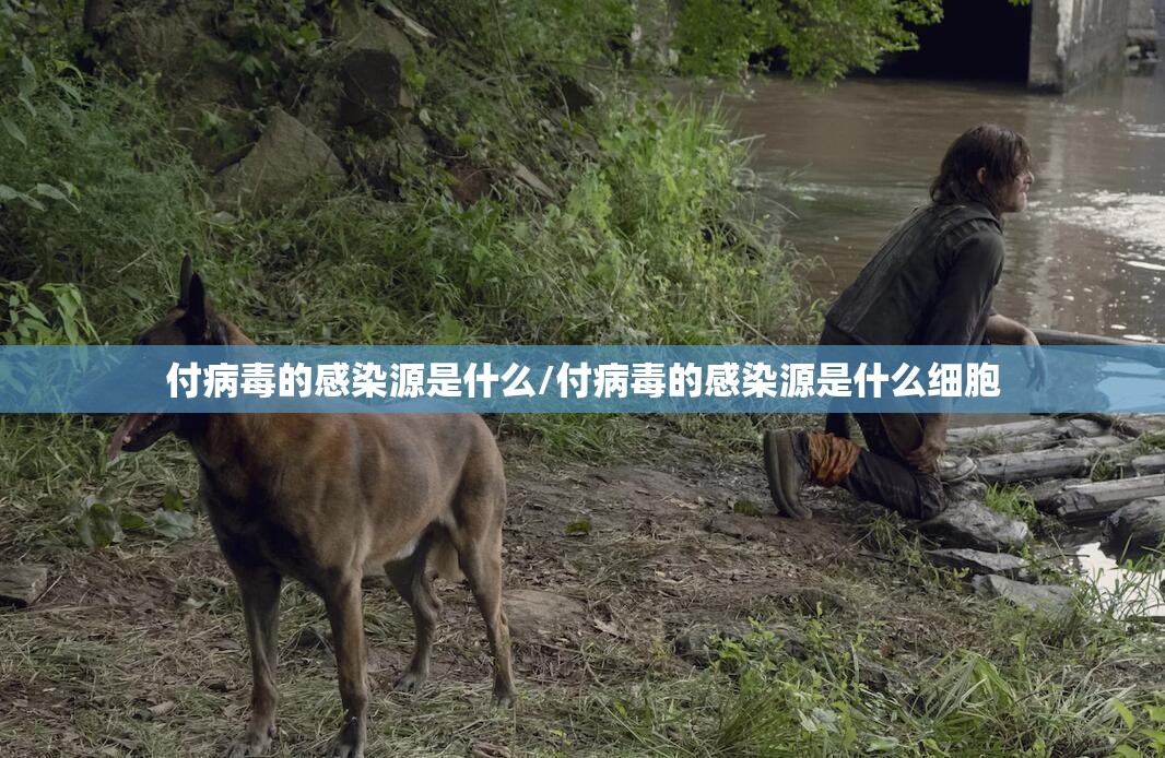 付病毒的感染源是什么/付病毒的感染源是什么细胞