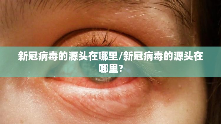 新冠病毒的源头在哪里/新冠病毒的源头在哪里?