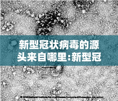 新型冠状病毒的源头来自哪里:新型冠壮病毒的源头在哪里