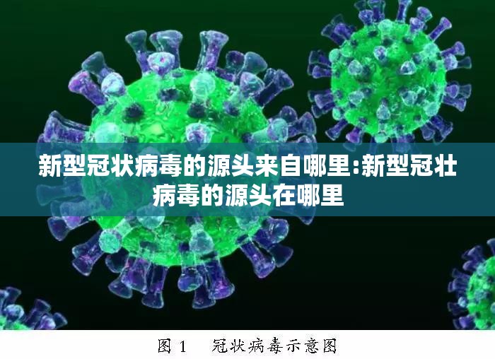 新型冠状病毒的源头来自哪里:新型冠壮病毒的源头在哪里