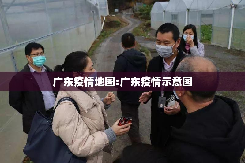 广东疫情地图:广东疫情示意图