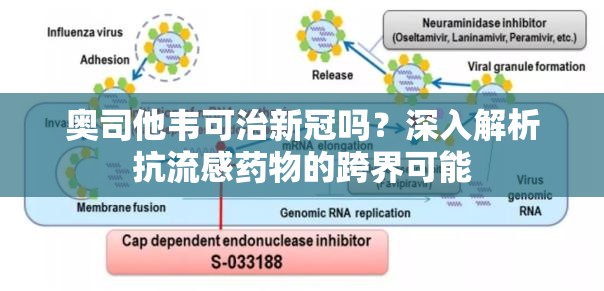 奥司他韦可治新冠吗？深入解析抗流感药物的跨界可能