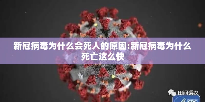 新冠病毒为什么会死人的原因:新冠病毒为什么死亡这么快