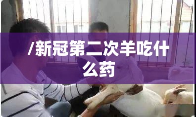 /新冠第二次羊吃什么药