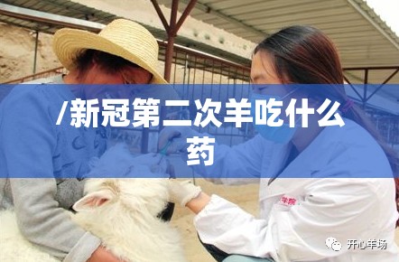 /新冠第二次羊吃什么药