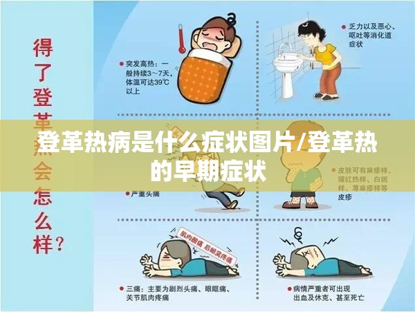 登革热病是什么症状图片/登革热的早期症状