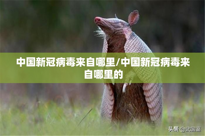 中国新冠病毒来自哪里/中国新冠病毒来自哪里的
