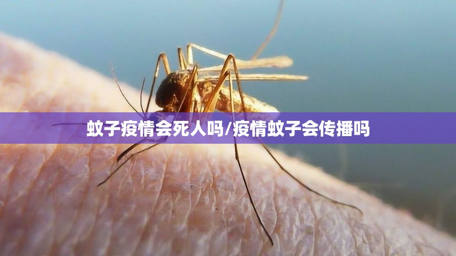 蚊子疫情会死人吗/疫情蚊子会传播吗