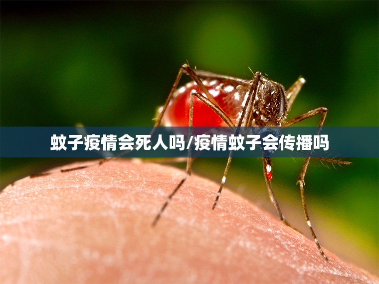 蚊子疫情会死人吗/疫情蚊子会传播吗