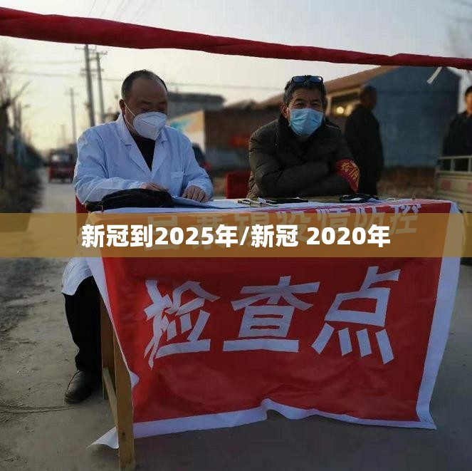 新冠到2025年/新冠 2020年