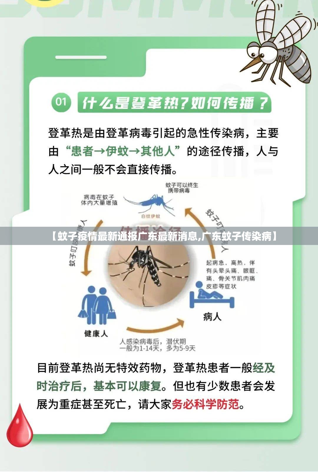 【蚊子疫情最新通报广东最新消息,广东蚊子传染病】