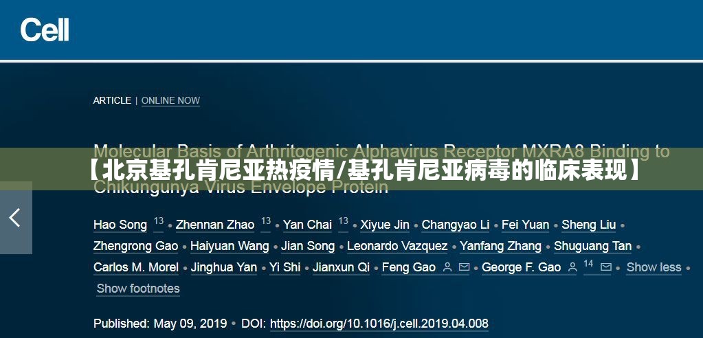 【北京基孔肯尼亚热疫情/基孔肯尼亚病毒的临床表现】