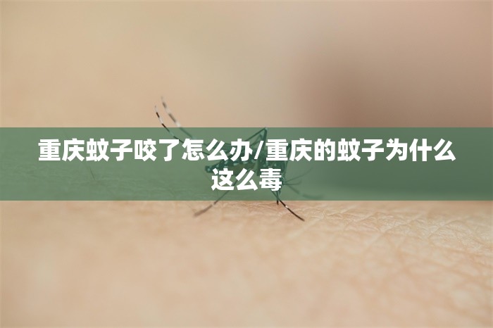 重庆蚊子咬了怎么办/重庆的蚊子为什么这么毒