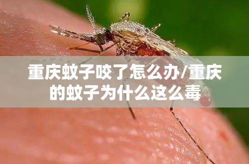重庆蚊子咬了怎么办/重庆的蚊子为什么这么毒