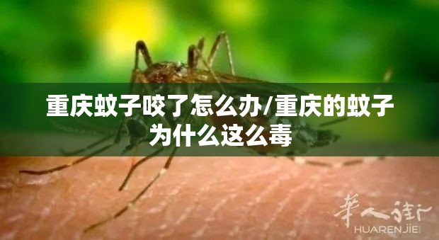 重庆蚊子咬了怎么办/重庆的蚊子为什么这么毒