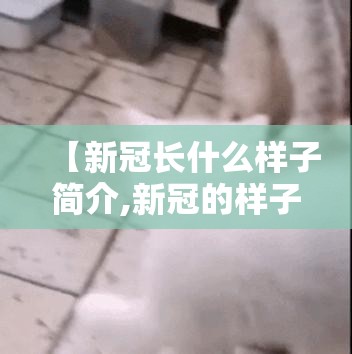 【新冠长什么样子简介,新冠的样子】