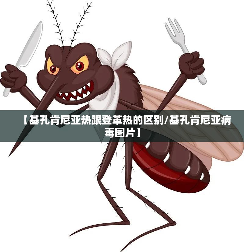【基孔肯尼亚热跟登革热的区别/基孔肯尼亚病毒图片】