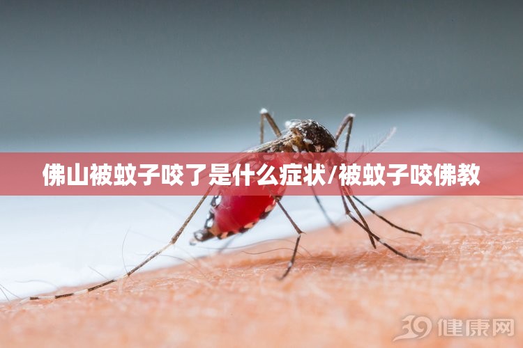 佛山被蚊子咬了是什么症状/被蚊子咬佛教