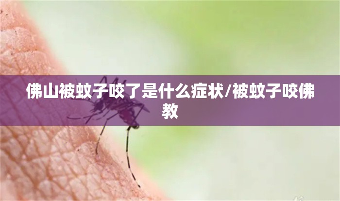 佛山被蚊子咬了是什么症状/被蚊子咬佛教