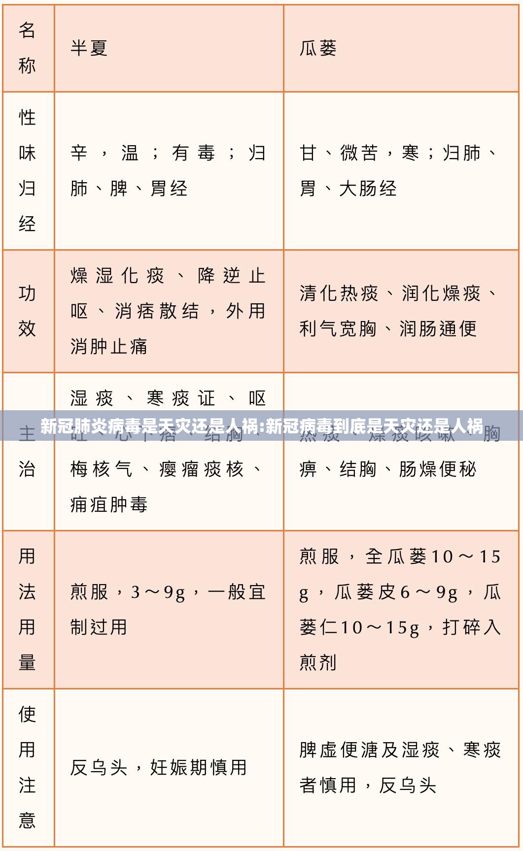 新冠肺炎病毒是天灾还是人祸:新冠病毒到底是天灾还是人祸