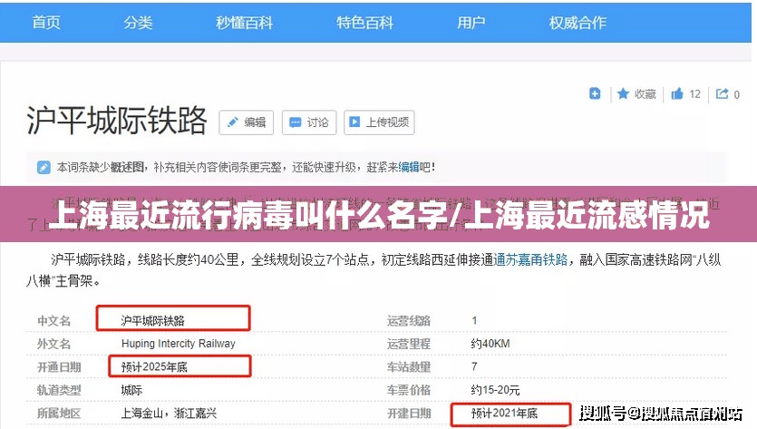 上海最近流行病毒叫什么名字/上海最近流感情况