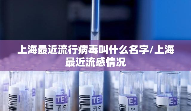 上海最近流行病毒叫什么名字/上海最近流感情况