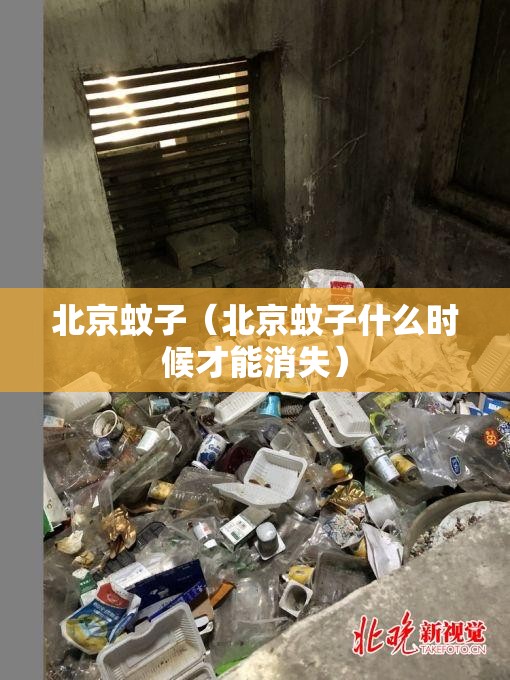 北京蚊子（北京蚊子什么时候才能消失）