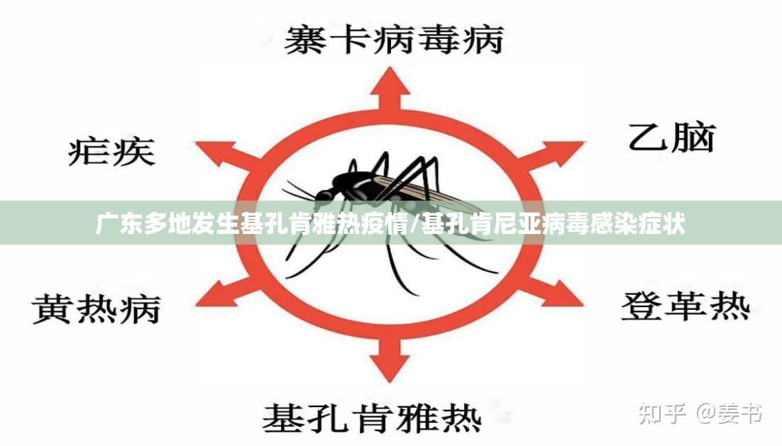 广东多地发生基孔肯雅热疫情/基孔肯尼亚病毒感染症状