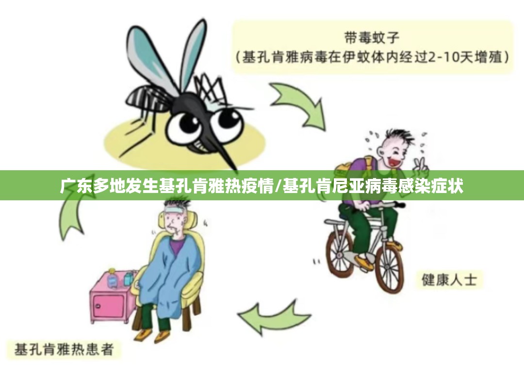 广东多地发生基孔肯雅热疫情/基孔肯尼亚病毒感染症状
