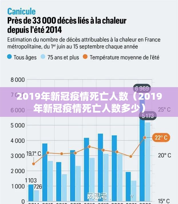 2019年新冠疫情死亡人数（2019年新冠疫情死亡人数多少）
